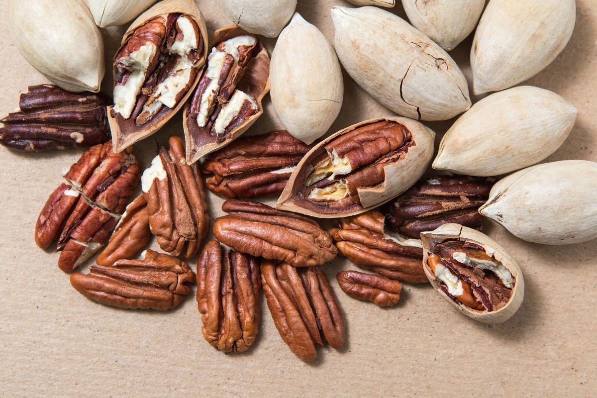 8 Tipos De Nueces Nombres Y Fotos