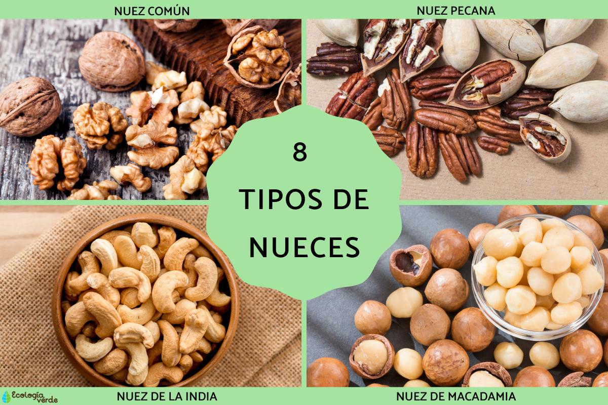 Tipos de nueces