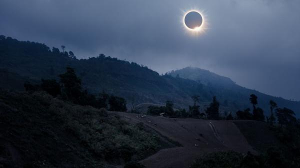 Un eclipse solar cambia el comportamiento de las plantas: esta es la explicación científica - Las plantas también perciben un eclipse, pero lo hacen de una forma muy diferente a los animales