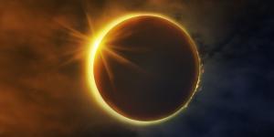 Un eclipse solar cambia el comportamiento de las plantas: esta es la explicación científica