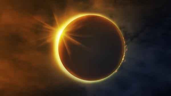 Un eclipse solar cambia el comportamiento de las plantas: esta es la explicación científica