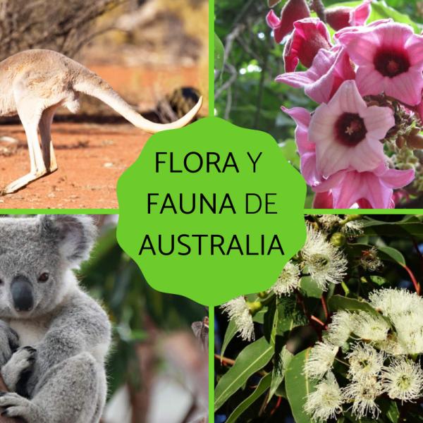 Flores Plantas Y Arboles En Australia