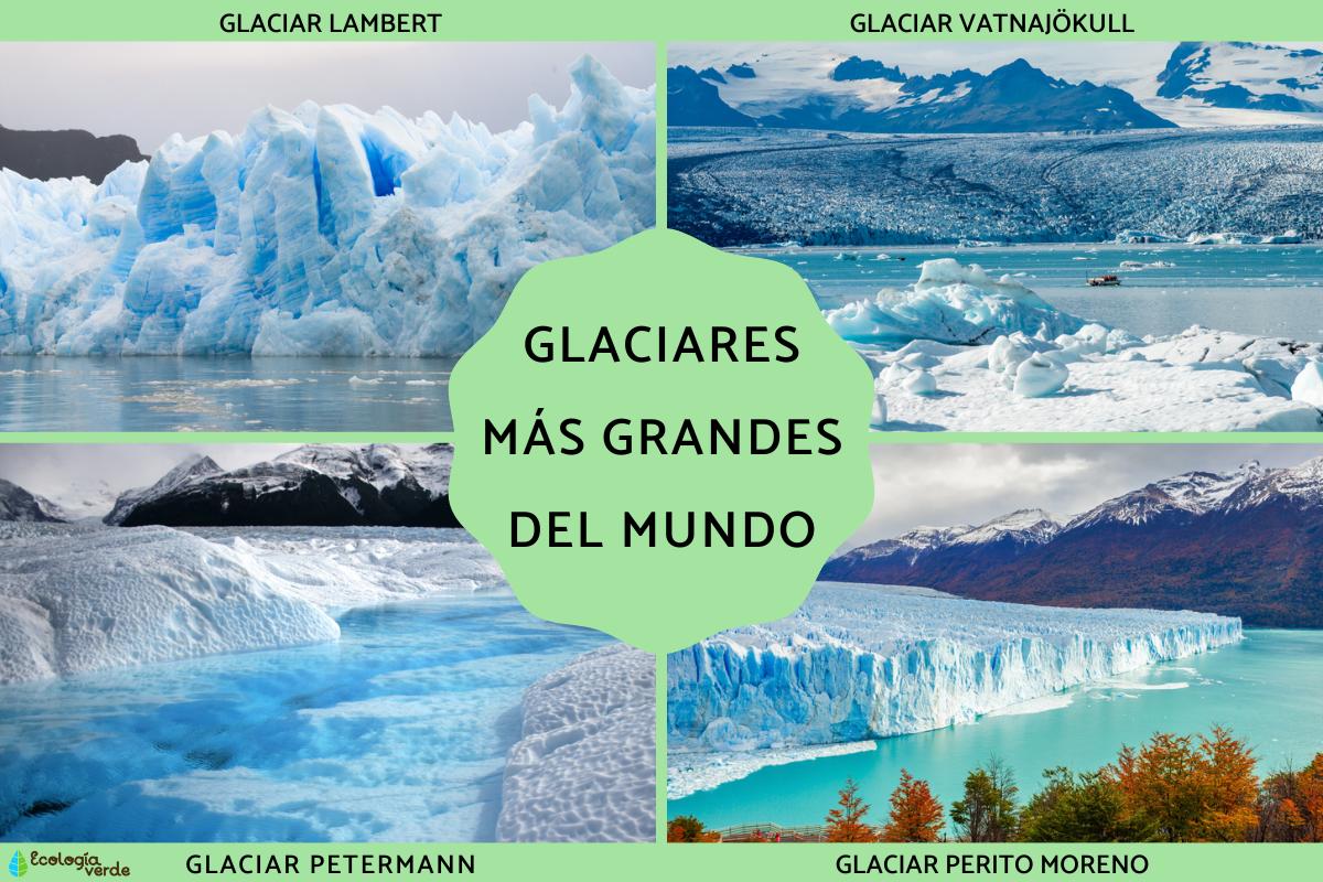 Glaciares más grandes del mundo