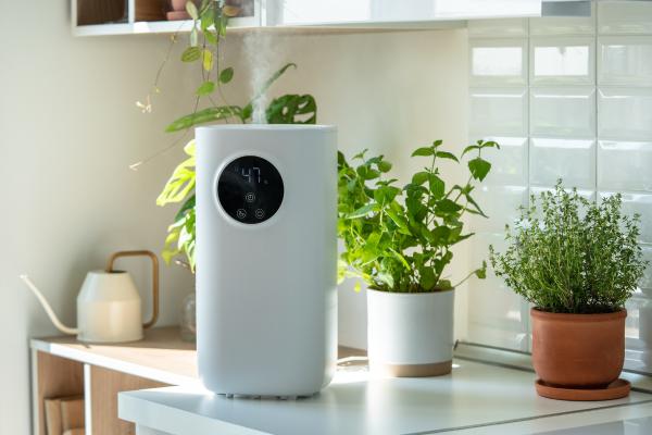 Humedad absoluta: qué es, cómo se mide y ejemplos - ¿Cómo afecta la humedad absoluta en la vida diaria?