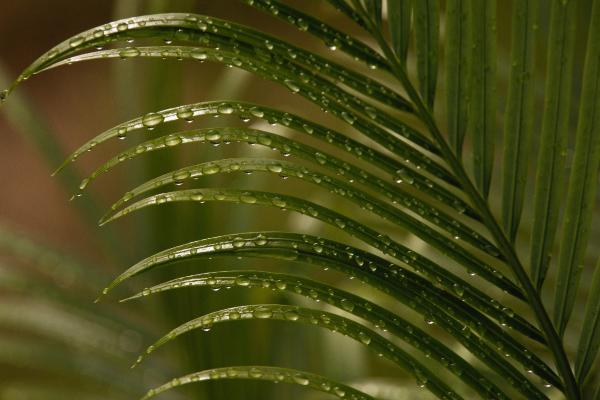 Humedad absoluta: qué es, cómo se mide y ejemplos - ¿Qué es la humedad absoluta?