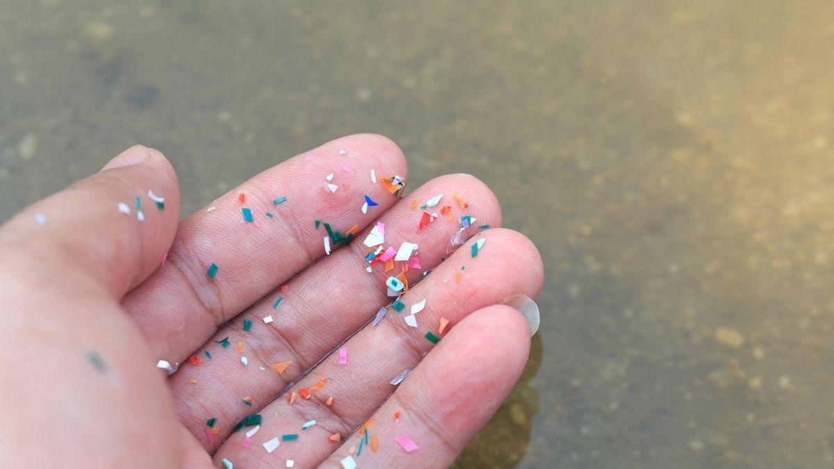 Un estudio alerta: los plásticos fósiles provocan un efecto dominó invisible en ríos y lagos