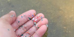 Un estudio alerta: los plásticos fósiles provocan un efecto dominó invisible en ríos y lagos