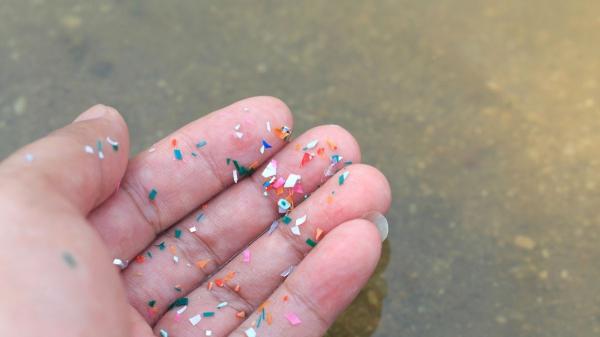 Un estudio alerta: los plásticos fósiles provocan un efecto dominó invisible en ríos y lagos
