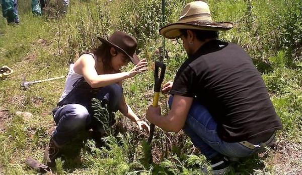 Cómo plantar un árbol paso a paso - Un lugar adecuado