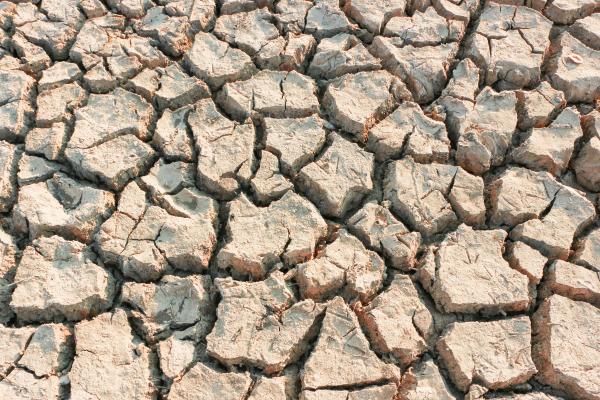 Degradación del suelo: qué es, causas y consecuencias - Consecuencias de la degradación del suelo