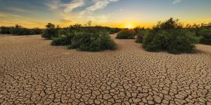 Degradación del suelo: qué es, causas y consecuencias