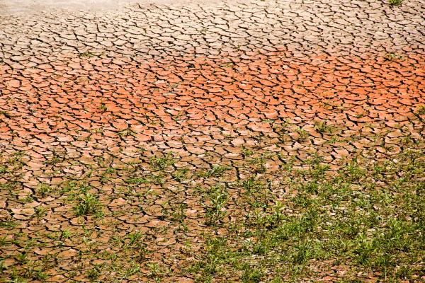 Degradación del suelo: qué es, causas y consecuencias - Tipos de degradación del suelo