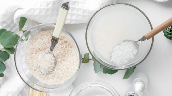 Abono casero para la flor de Pascua: ¿Cómo hacerlo y usarlo? - ¿Cómo preparar el abono casero paso a paso?