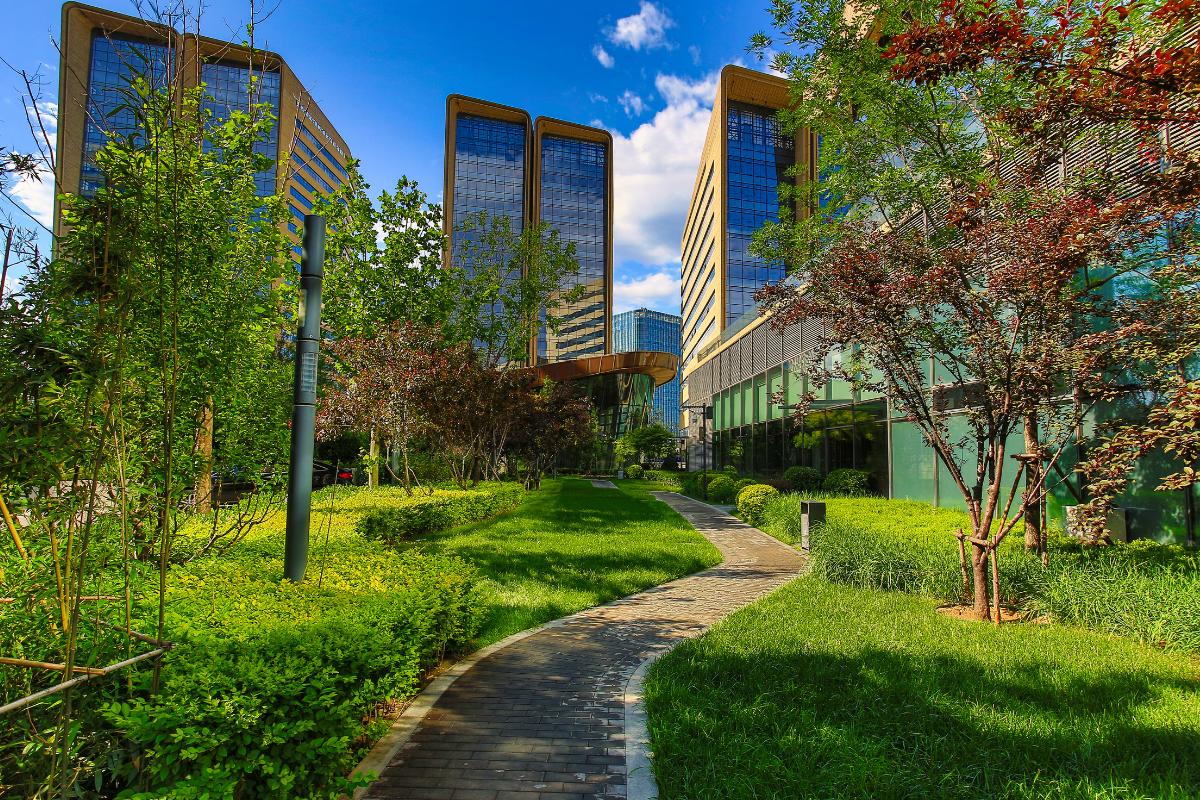 Refugio climático: qué es, por qué son importantes y ejemplos