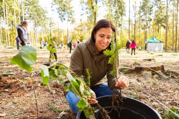 Día Mundial de la Ecología - ¿Cómo celebrar el Día Mundial de la Ecología?