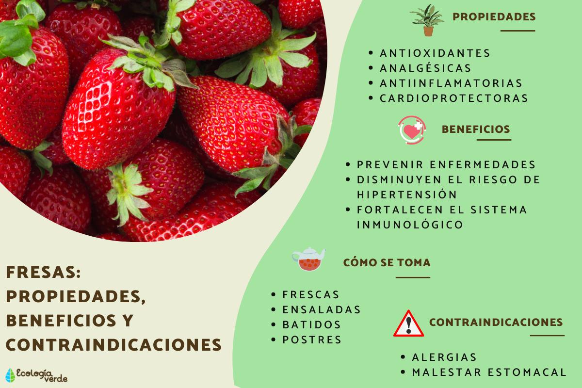 Fresas: propiedades, beneficios y contraindicaciones