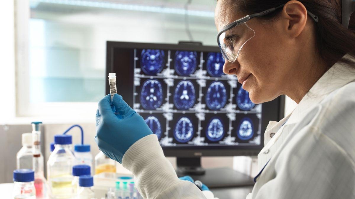 Investigadores catalanes logran revertir el Alzheimer en ratones en tiempo récord