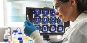 Investigadores catalanes logran revertir el Alzheimer en ratones en tiempo récord