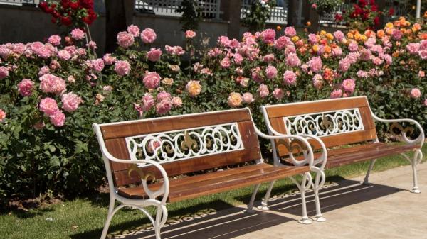 ¿Se pueden coger flores del parque? Estas son las multas que te pueden poner en España - Coger flores del parque: lo que dice la norma y las multas