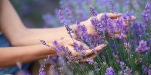 ¿Se pueden coger flores del parque? Estas son las multas que te pueden poner en España