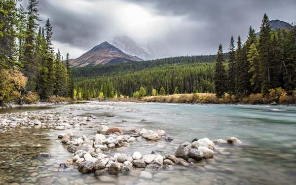 Dónde Viven los Lobos - Hábitat y distribución actual de los Lobos