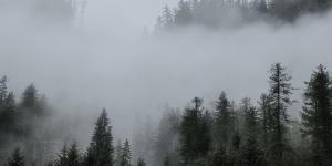 Niebla: qué es, cómo se forma y tipos