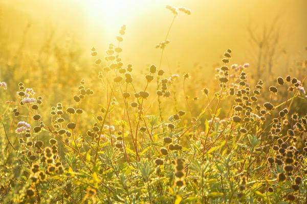 Tipos de energía que existen y ejemplos - Energía radiante o electromagnética