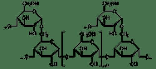 Carbohidratos: qué son, clasificación y estructura - 