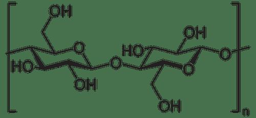 Carbohidratos: qué son, clasificación y estructura - 