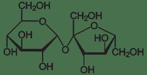 Carbohidratos: qué son, clasificación y estructura - 