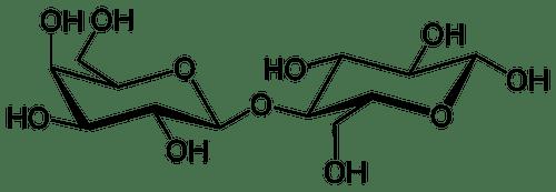Carbohidratos: qué son, clasificación y estructura - 