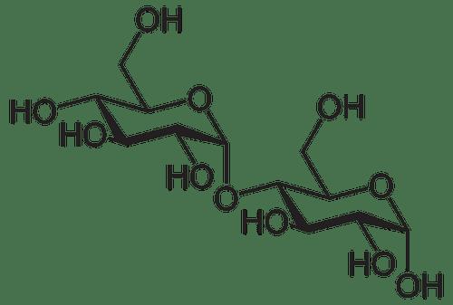 Carbohidratos: qué son, clasificación y estructura - 
