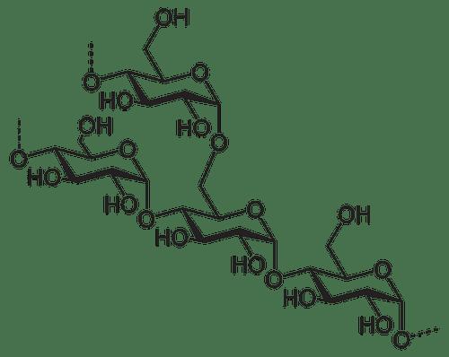 Carbohidratos: qué son, clasificación y estructura - 