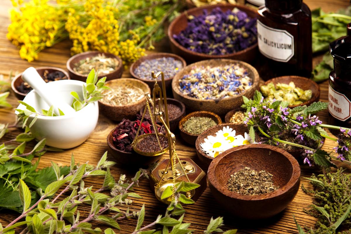 Etnobotánica: qué es, ramas, importancia y ejemplos