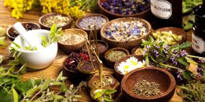 Etnobotánica: qué es, ramas, importancia y ejemplos