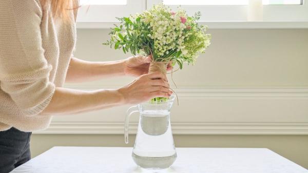 Agua con azúcar para las plantas: el truco casero que sí funciona (pero solo en este caso) - ¿Para qué sirve el agua con azúcar para las plantas? ¿Cuándo usarla y cuándo no?