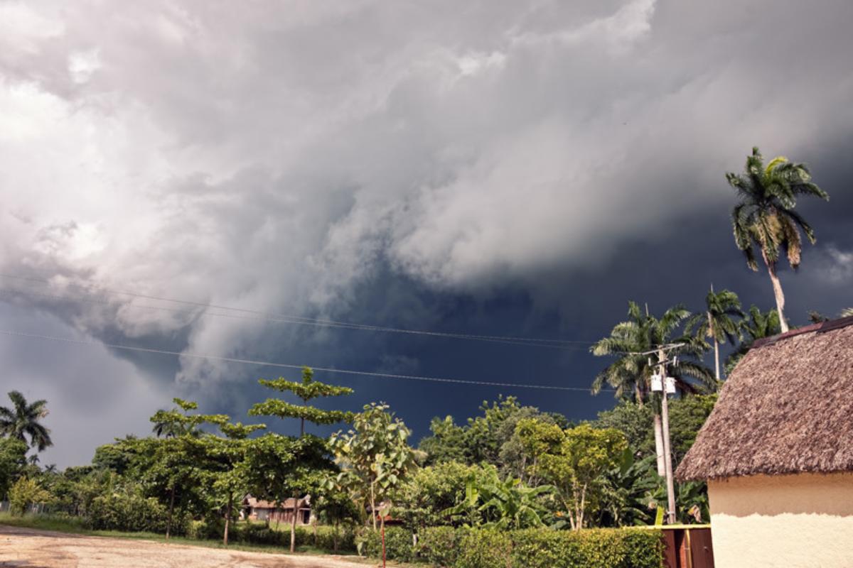 Monzones: qué son, formación, tipos, ejemplos y consecuencias