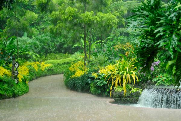 Monzones: qué son, formación, tipos, ejemplos y consecuencias - Tipos de monzones