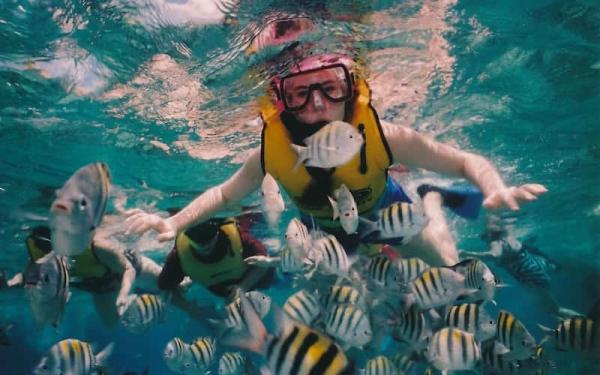 Isla Mujeres - Cómo llegar a Isla Mujeres