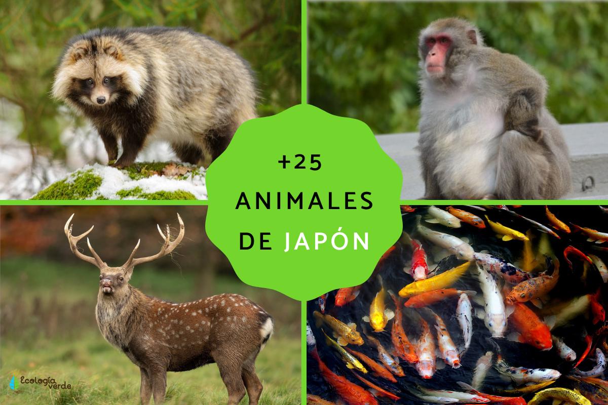Animales japoneses