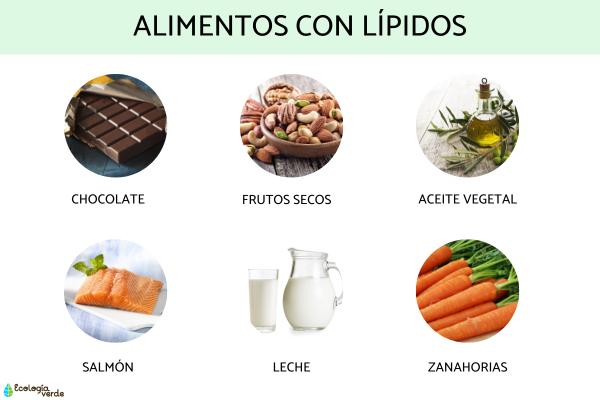 Lípidos: qué son, funciones y clasificación - Alimentos con lípidos