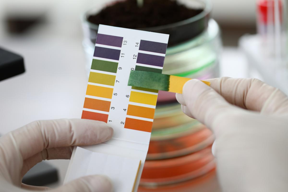 Cómo medir el pH de la tierra