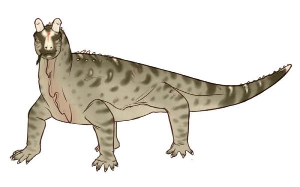 Definición de Pangea - La vida de Pangea