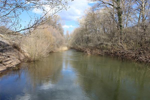 Río Jarama - Características del río Jarama