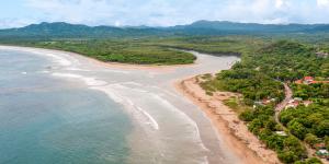 Estuarios: qué son, tipos, flora y fauna