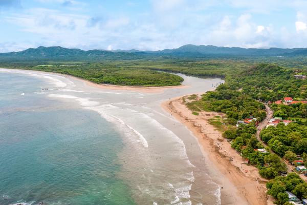 Estuarios: qué son, tipos, flora y fauna
