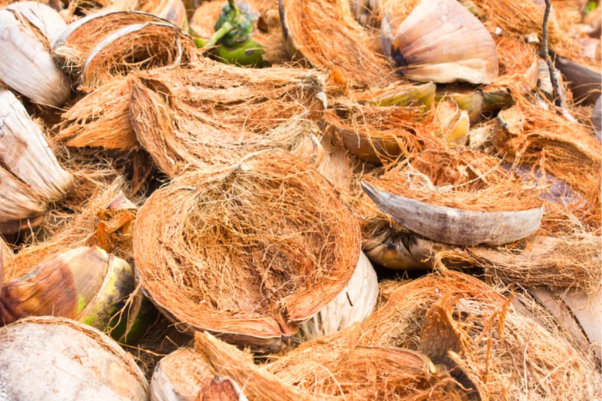 Fibra de coco para plantas: propiedades y cómo hacerla