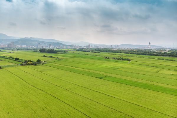 Accidentes geográficos: qué son y ejemplos - Llanura