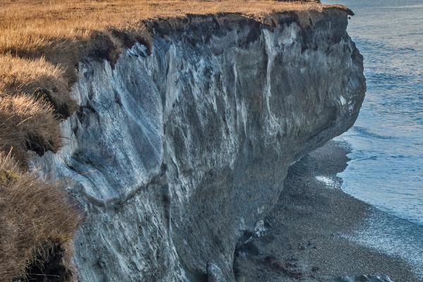 Permafrost: qué es, dónde está, características y deshielo