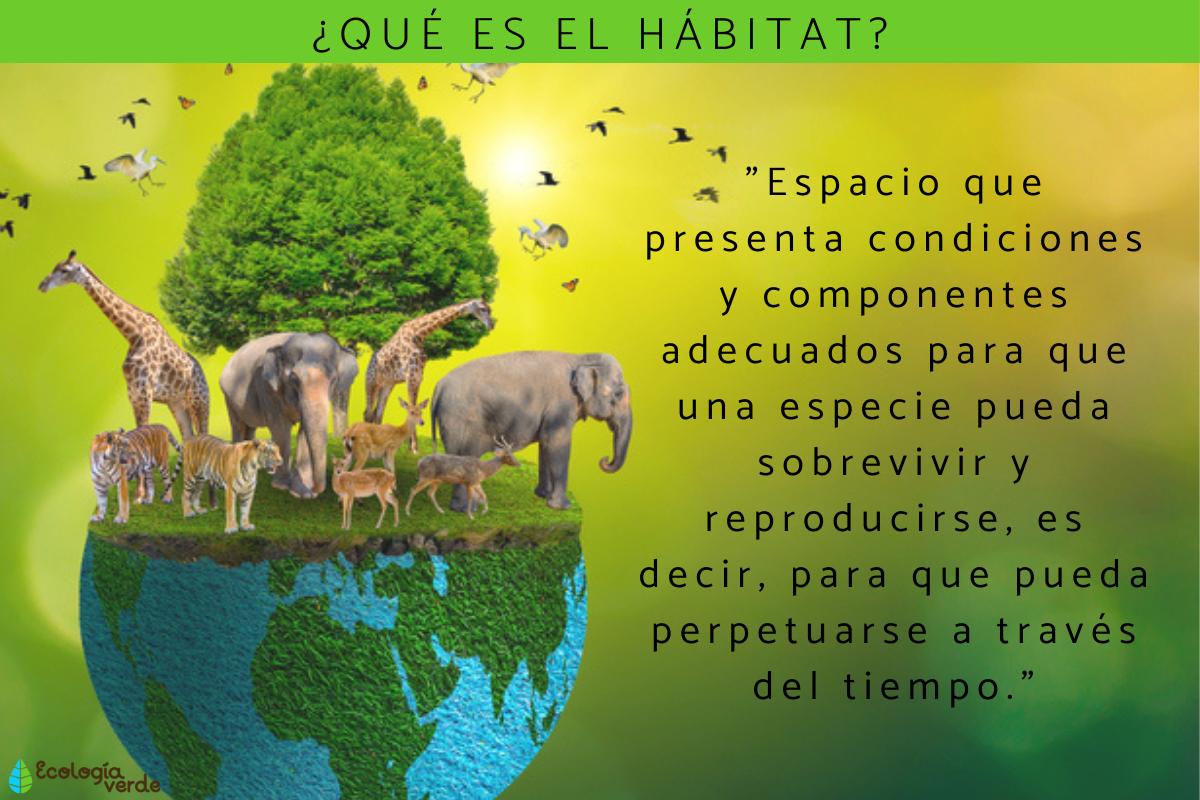 Qué es el hábitat